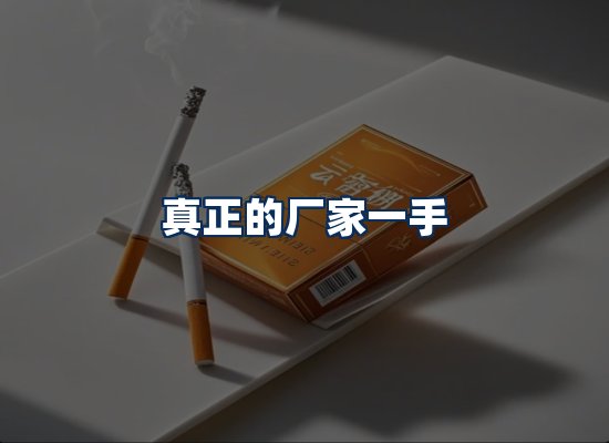 专业团队办公环境